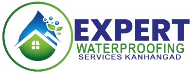 Expert